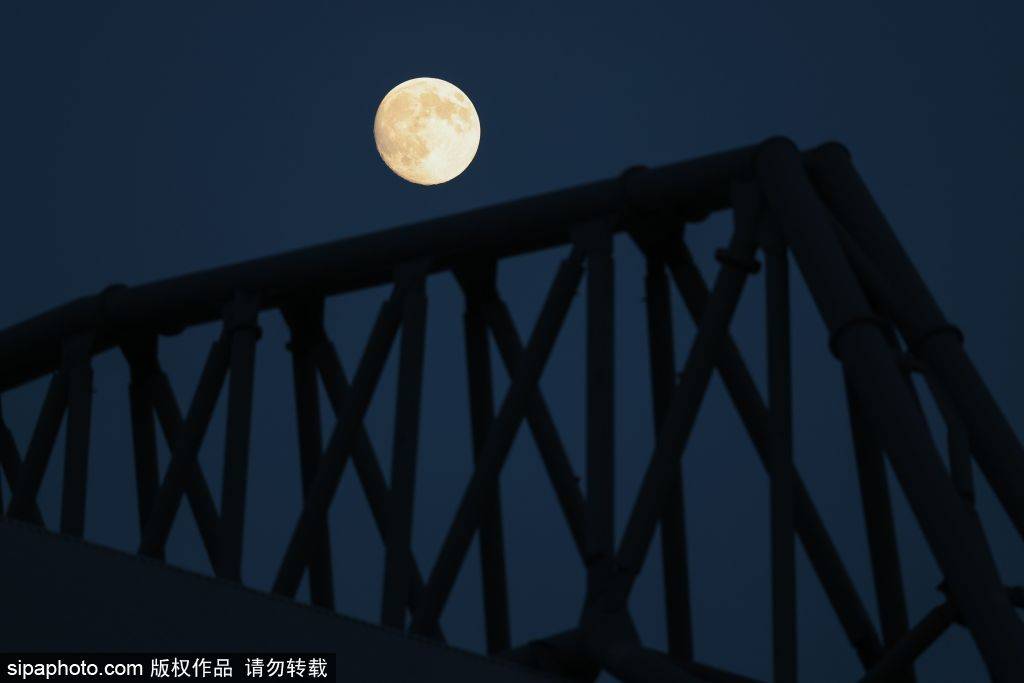 ท็อตแน่ม ฮ็อตสเปอร์ พบ ลิเวอร์พูล: เมื่อไม่มีซาลาห์ คานจะสามารถรับมือกับแรงกดดันต่อแฟรงค์ได้หรือไม่? _การแข่งขัน_ _ยูฟ่า แชมเปียนส์ลีก_ _อินเตอร์ มิลาน_